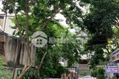 Bán biệt thự siêu hiếm packexim tây hồ, 162m2, 5 tầng, mt 9m, 30,3 tỷ ảnh thật