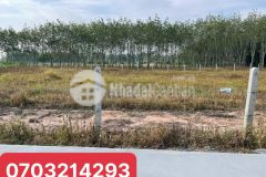 Chính chủ không gồng nổi nên bán liền lô đất nhà