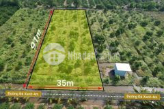 Bán vườn bưởi rộng 3200m2 xã thạnh hòa, bến lức, chỉ 600 triệu 1000m2 0932660780 0931553378