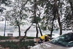 Bán shophouse mặt phố giảng võ 163m2 mt 12m doanh thu 200trt giá 32.45 tỷ