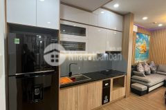 Cho thuê căn chung cư lighthouse, ecopark hải dương, 68m2, căn góc 2 ngủ, 2 vệ sinh, full nội thất