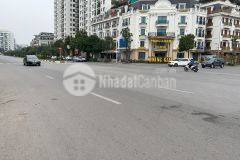 Siêu phẩm lô góc bồ đề 55m 4t mt4m, 3 thoáng, ô tô đỗ cửa, giá siêu yêu.