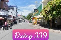 Bán dãy trọ hxh đường 339,phước long b tp,thủ đức chỉ 6,5 tỷ