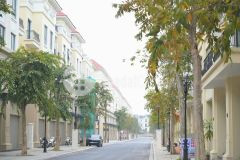 Gấp gấp, chà là căn 5tầng 48m hoàn thiện tặng vf8 khuôn gần 5 tỷ