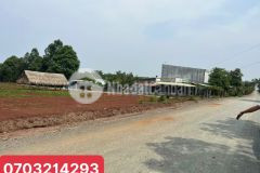 Đất ngay dt 748 dầu tiếng bình dương giá chỉ 499 triệu sang sổ