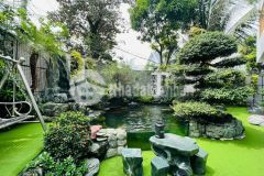 Biệt thự view đẹp hẻm vip 409 nguyễn oanh ngang hiếm 16m 352m2 3l có hầm gần chợ 36 tỷ.