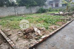 Nhỉnh 700tr có ngay 68m2 đất thổ cư chỉ đạo, văn lâm 0835459289