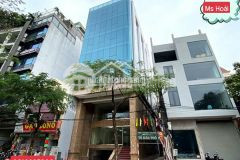 Cho thuê toa vp 9 tâng xây mới măt phô vu tông phan. vi tri lô goc.gia 10.0000usdth