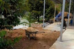 Chủ gửi bán gấp vườn sầu trong tuần 4400 m2 giá bán 350tr sào