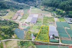 Đất đẹp 2 mặt tiền giá tốt sổ riêng mimosa phường 10