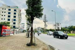 Bán đất mặt phố đàm lộc, ph tân bình, tp hd, 93.2m2, mt 6.21m, cách 50m ra đường trường chinh