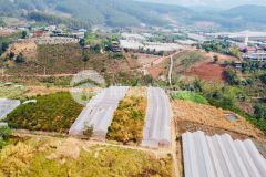 Bán gấp lô đất 2 mặt tiền sổ riêng tà nung, tp đà lạt