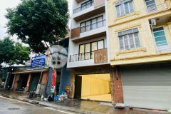 Cần bán gấp nhà mặt tiền kinh doanh đỉnh phúc lợi dt 92m2. giá 16.9 tỷ