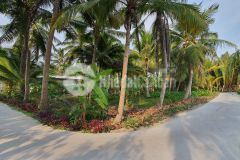 Bán lô đất vườn góc 2 mặt tiền đường oto gần chợ vĩnh kim về mỹ tho 10 phút 24x36m