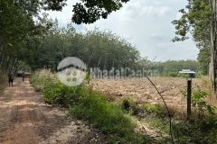 Cần vốn làm ăn nên bán gấp lô đất 150m2, sát lộ, dân cư ở đông bình dương