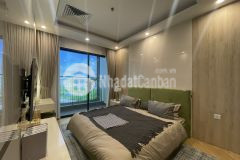 Mở bán đợt 1 tòa zurich 3 tại dự án vinhomes ocean park,ký mới cđt