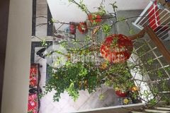 Gía tốt hơn 7 tỷ nhà đẹp phố cát linh 50m2, 5 tầng, 2 thoáng gần phố hiếm đống đa