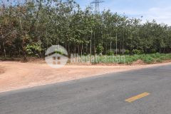 Bán lỗ lô đất 253m2 mặt tiền đường nhựa 42m ngay khu công nghiệp