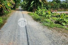 Bán 810m2 20x40m đất mặt tiền, có 350m2 thổ cư, thích thiện hòa, xã lê minh xuân, bc