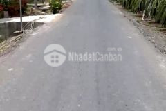 3,5 công đất thổ trồng thanh long, có nhà cấp 4, đường ôtô tại đồng sơn, gò công tây, tiền giang