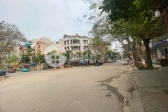 Bán đất mặt phố trạm 73m siêu hiếm kinh doanh ngày đêm các loại hình long biên