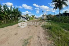 Chủ ngộp nặng giá gảm siêu rẻ, tl 864, châu thành, tiền giang