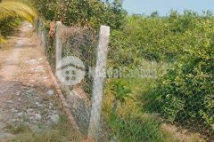 Đất vườn 1000m2, có thổ cư, xã lương bình, bến lức, cách tl 830 tầm 300m, đường xe hơi