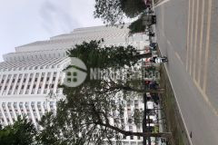 Đất lô góc 3 thoáng ô tô đông trù đông hội đông anh dt 55m² mt 5,5m nhỉnh 3 tỷ