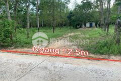 Bán đất vườn khánh đông giá rẻ quy hoạch thổ cư gần trường học