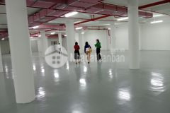 Cho thuê toàn bộ kho, xưởng tại quận long biên. hà nội