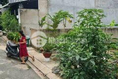 Bán gấp lô đất giá tốt 80m2 giá chỉ 560tr vay ngân hàng 50 gọi ngay