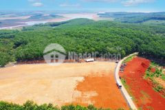 Cần mua 5000m 10000m, mở xưởng, xây trọ, đất nông nghiệp, đường xe công ra vào được