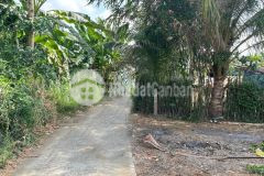 Bán đất rẻ, mặt tiền lớn 54x30 tại bình xuân, tx gò công, tiền giang