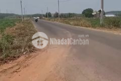 Gia đình tôi đang cần bán lô đất 312 m2 có sẵn 100 m2 thổ cư