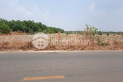 Kẹt tiền sang gấp 250m2 đường nhựa 15m sát kcn, chợ tiện xây trọ giá 286tr