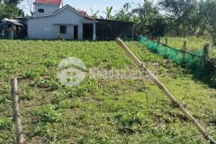 Cần bán lô đất vườn 30000m2 mặt tiền đường 14g xã hoà phú hoà vang.đà nẵng