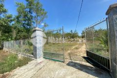 Bán vườn cây trái khánh bình sát bên tỉnh lộ 8b cặp bên khu tái định cư