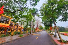 Thanh trì gần kđt tứ hiệp cần bán lô đất nông nghiệp 480m2 mt 13 ô tô tránh vỉa hè chỉ hơn tỷ.