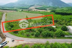 Bán vườn cây ăn quả khánh nam mặt tiền đường nhựa sau lưng ủy ban gần tỉnh lộ 8b