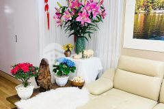 Ban căn hô tâp thê tâng 1 thai thinh kinh doanh gân ô tô full nôi thât