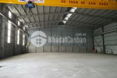 Cho thuê nhà xưởng tại kcn quốc oai. hà nội