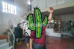 Cần bán căn nhà cấp4 tại phường vĩnh nguyên nha trang