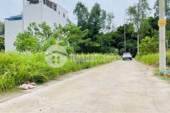 B.á.n siêu phẩm đất đấu giá 117m 2 mặt đường, bám bờ sông, ô tô tránh nhau 0835459289