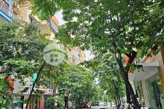 Bán gấp nhà phố lê trọng tấn, phân lô ô tô tránhdt 70m2, 6 tầng, mt 5m, 15.5tỷ