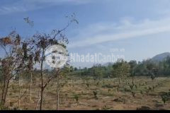 Bán đất 27872m2 mt quốc lộ 28b láng long quân, xã phan lâm, huyện bắc bình, bình thuận