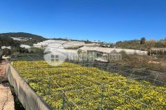 Cần bán lô đất siêu đẹp p7 gần trung tâm thành phố đà lạt,