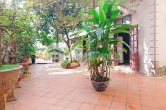 Mặt phố âu cơ, đối diện chợ hoa quảng bá, 390m2 giá 48,5 tỷ