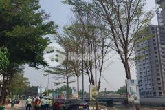 Bán căn hộ mt eastmark gđ1 chênh chỉ 230 triệu tt 65