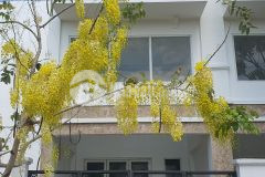 Cần sang lại nhà mặt tiền ql1 phường 4 tân an, aeon 5 phút