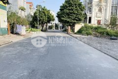 210m2 đất khu 31 ha trâu quỳ. giá 92trm2